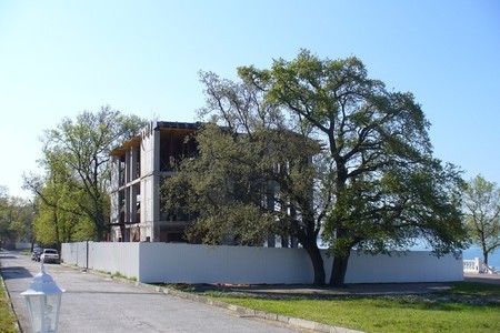 p1030085-jpg
